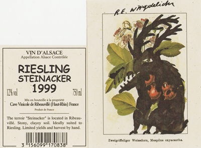 CavVinRibeauRielsSteinacker1999