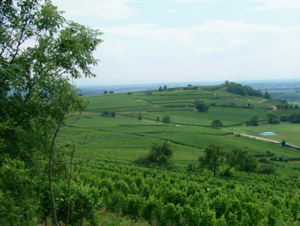 engelberg Dahlenheim